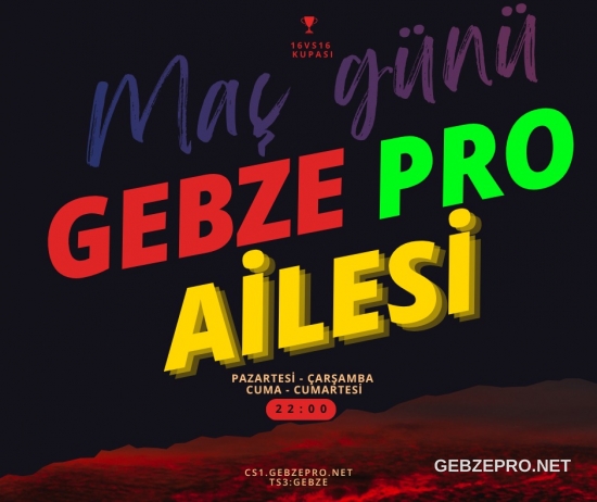 GEBZE PRO ▄︻デ══━一💥